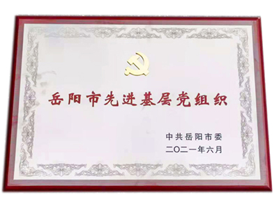 奖牌荣誉